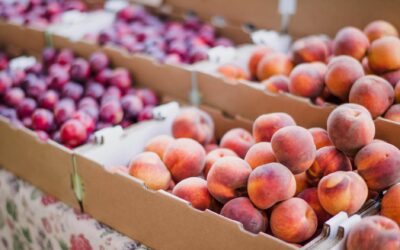 Sample Nutrition Post